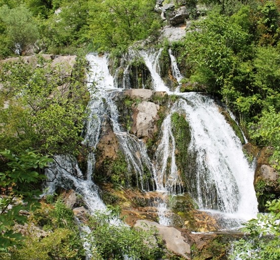 Poseljani boat tour