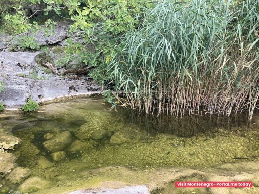 Start in Virpazar: Poseljani Waterfalls & Birdwatching — photo 6