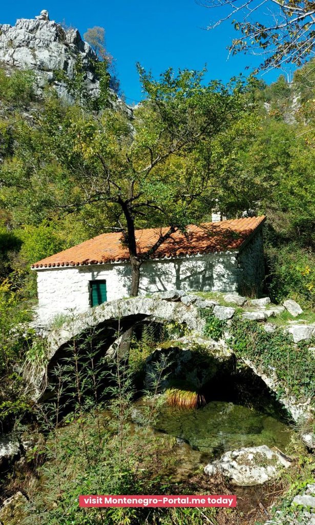 Start in Virpazar: Poseljani Waterfalls & Birdwatching — photo 10