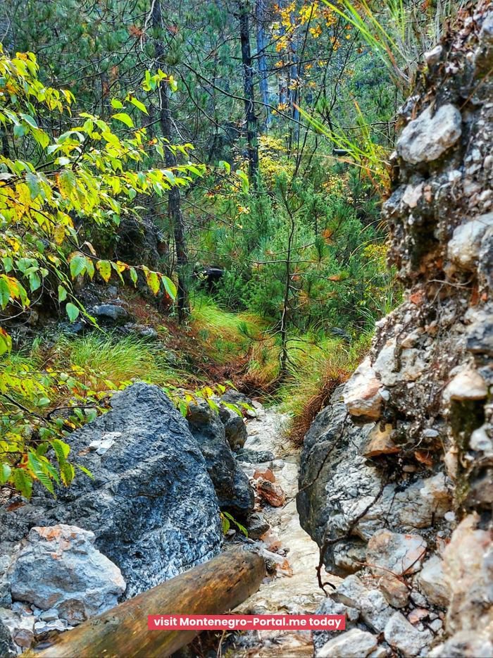 Start in Virpazar: Poseljani Waterfalls & Birdwatching — photo 16